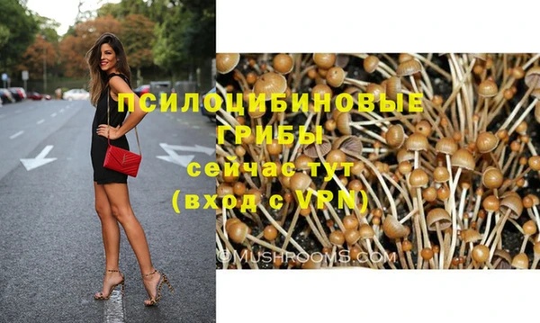 мдпв Бронницы