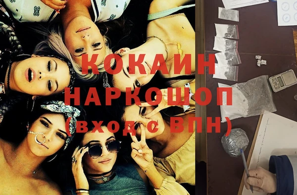сатива Бородино
