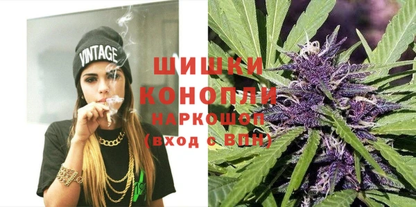 мдпв Бронницы