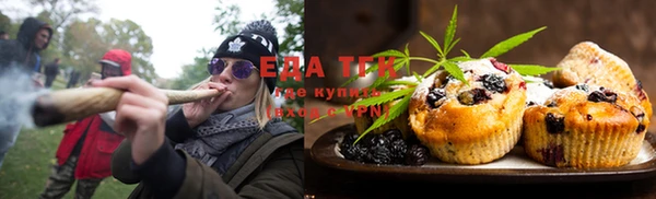 сатива Бородино