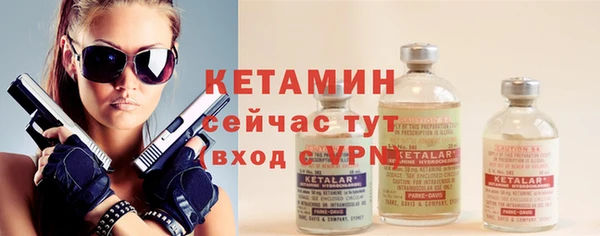 сатива Бородино