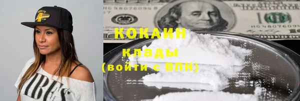 мдпв Бронницы