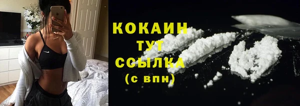 сатива Бородино