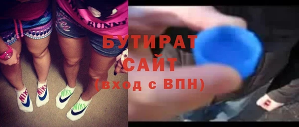 сатива Бородино