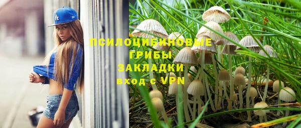 a pvp Верея