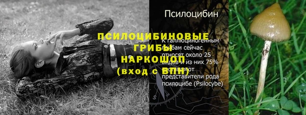 a pvp Верея