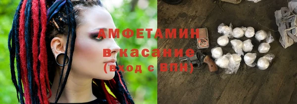 сатива Бородино
